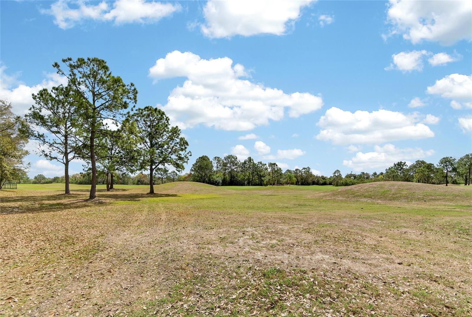 12940 PRESTWICK DR, RIVERVIEW, FL, 33579