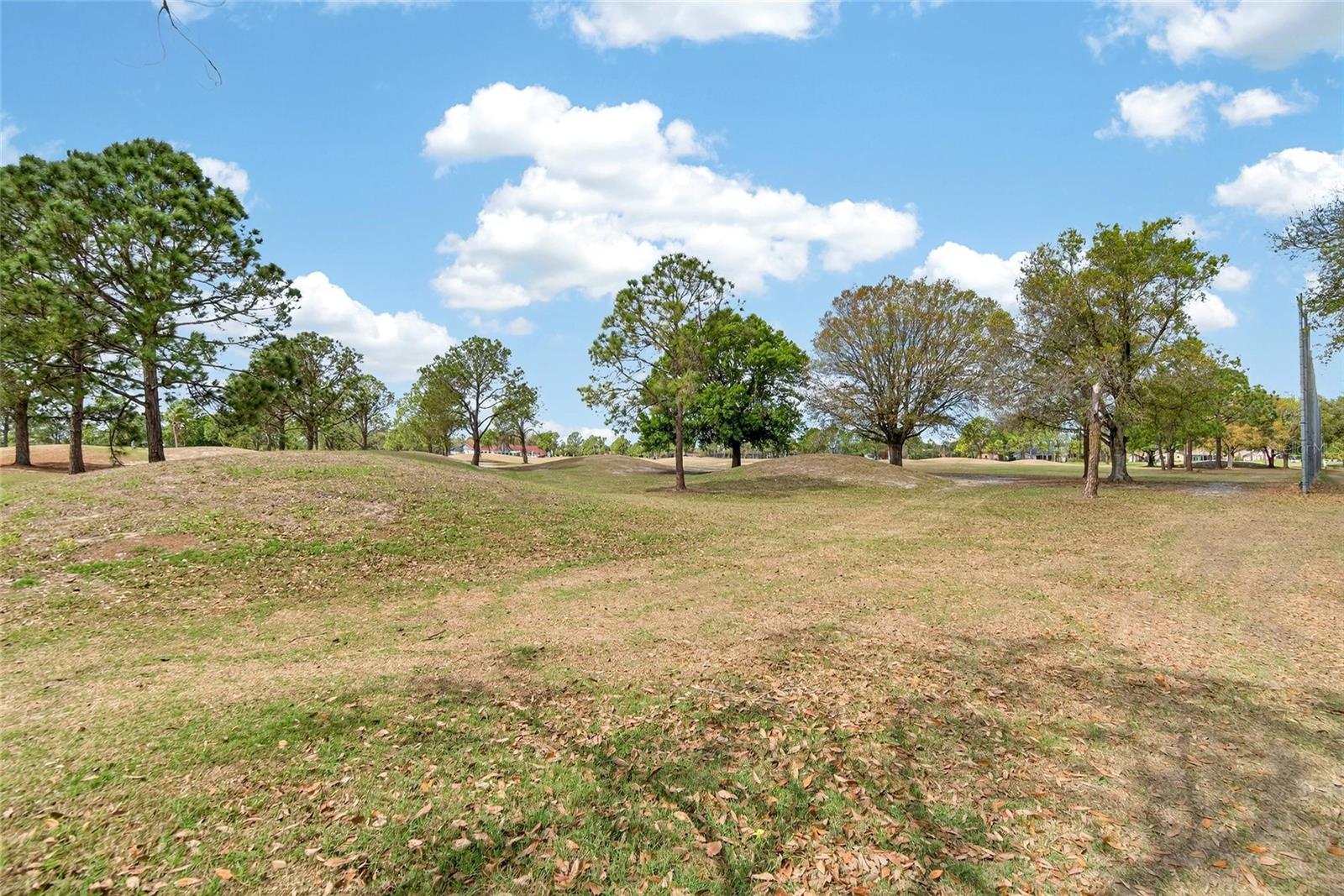 12940 PRESTWICK DR, RIVERVIEW, FL, 33579