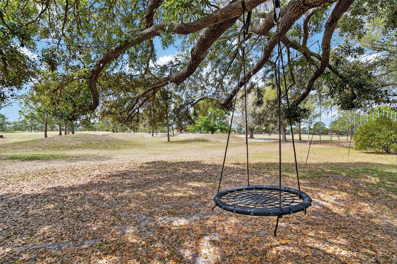 12940 PRESTWICK DR, RIVERVIEW, FL, 33579