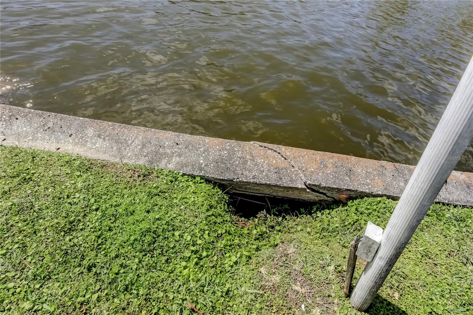 8586 FORSYTH DR, SEMINOLE, FL, 33772