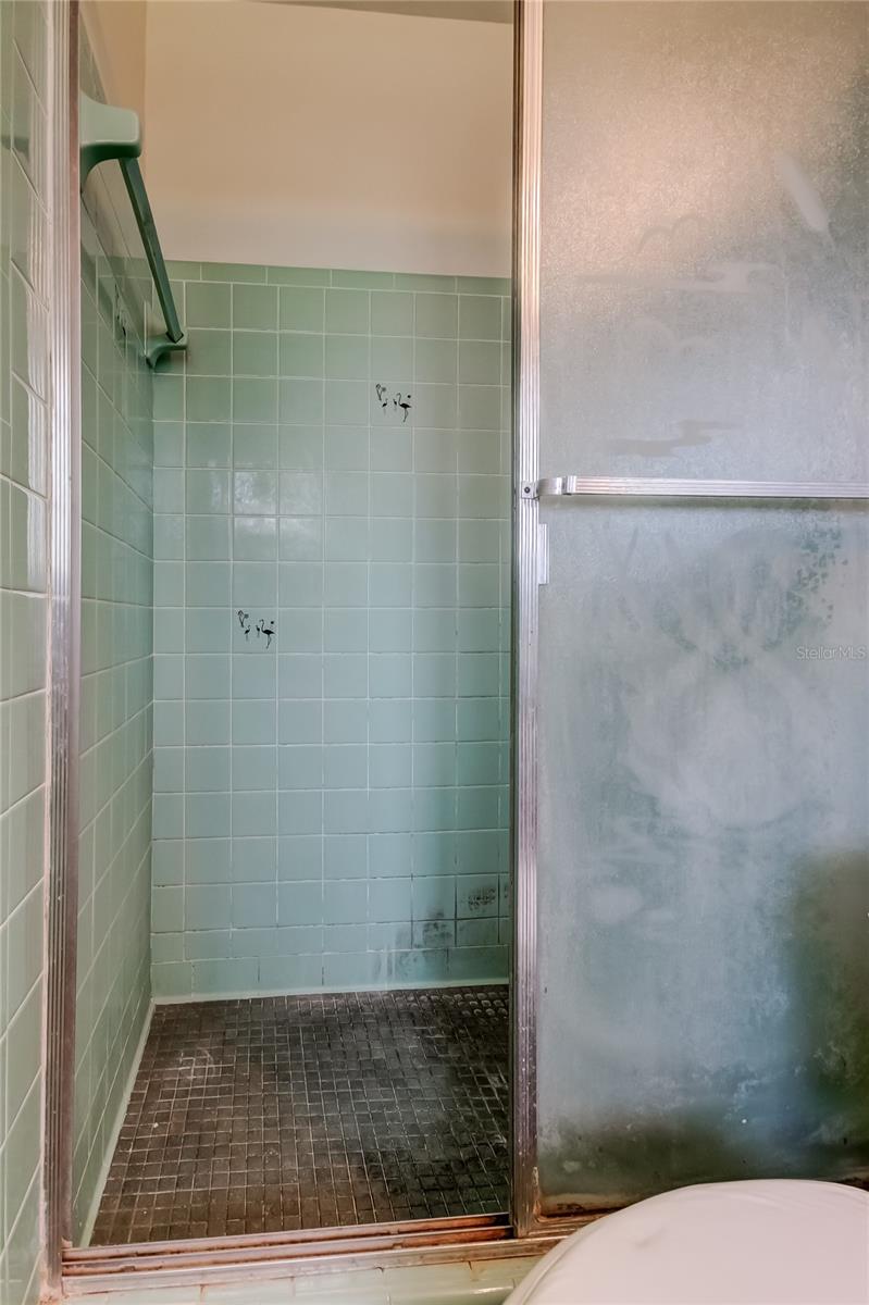 8586 FORSYTH DR, SEMINOLE, FL, 33772