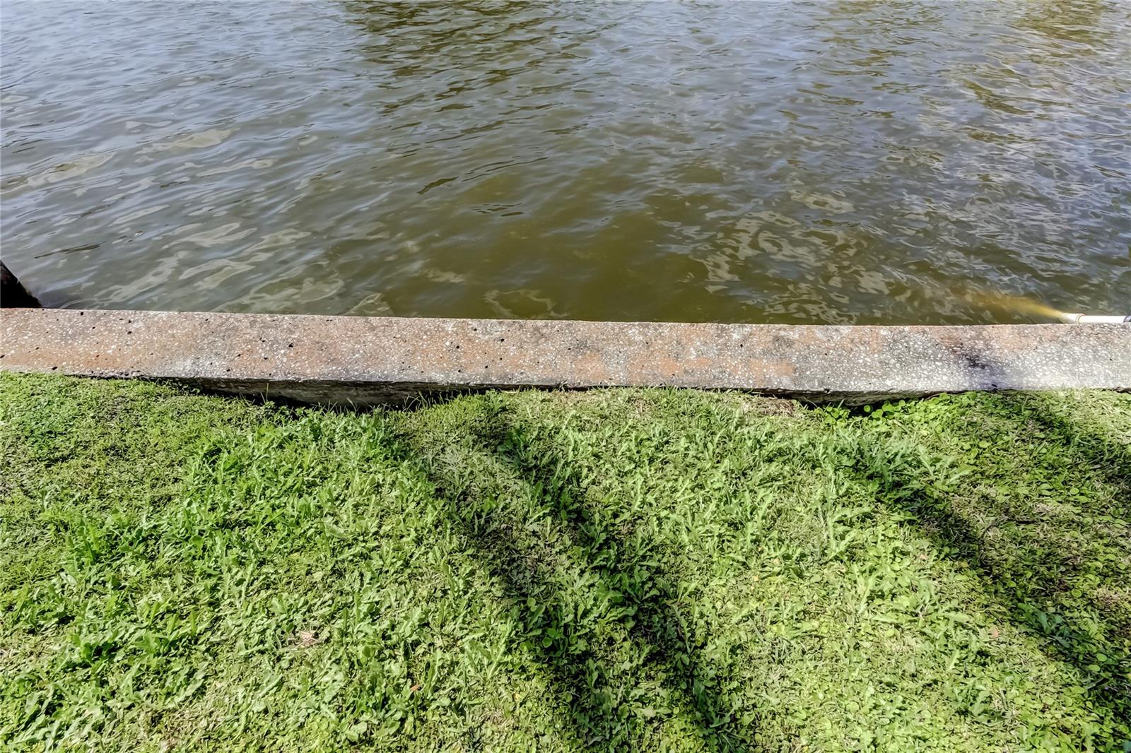 8586 FORSYTH DR, SEMINOLE, FL, 33772