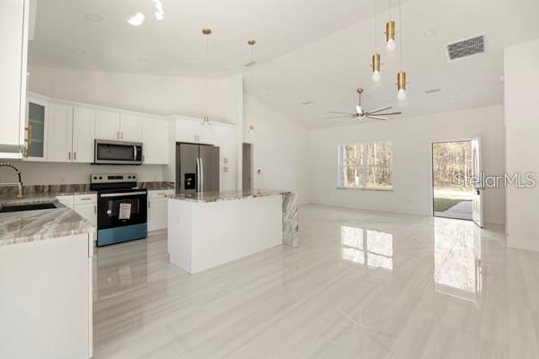 3882 SW 169TH LANE RD, OCALA, FL, 34473