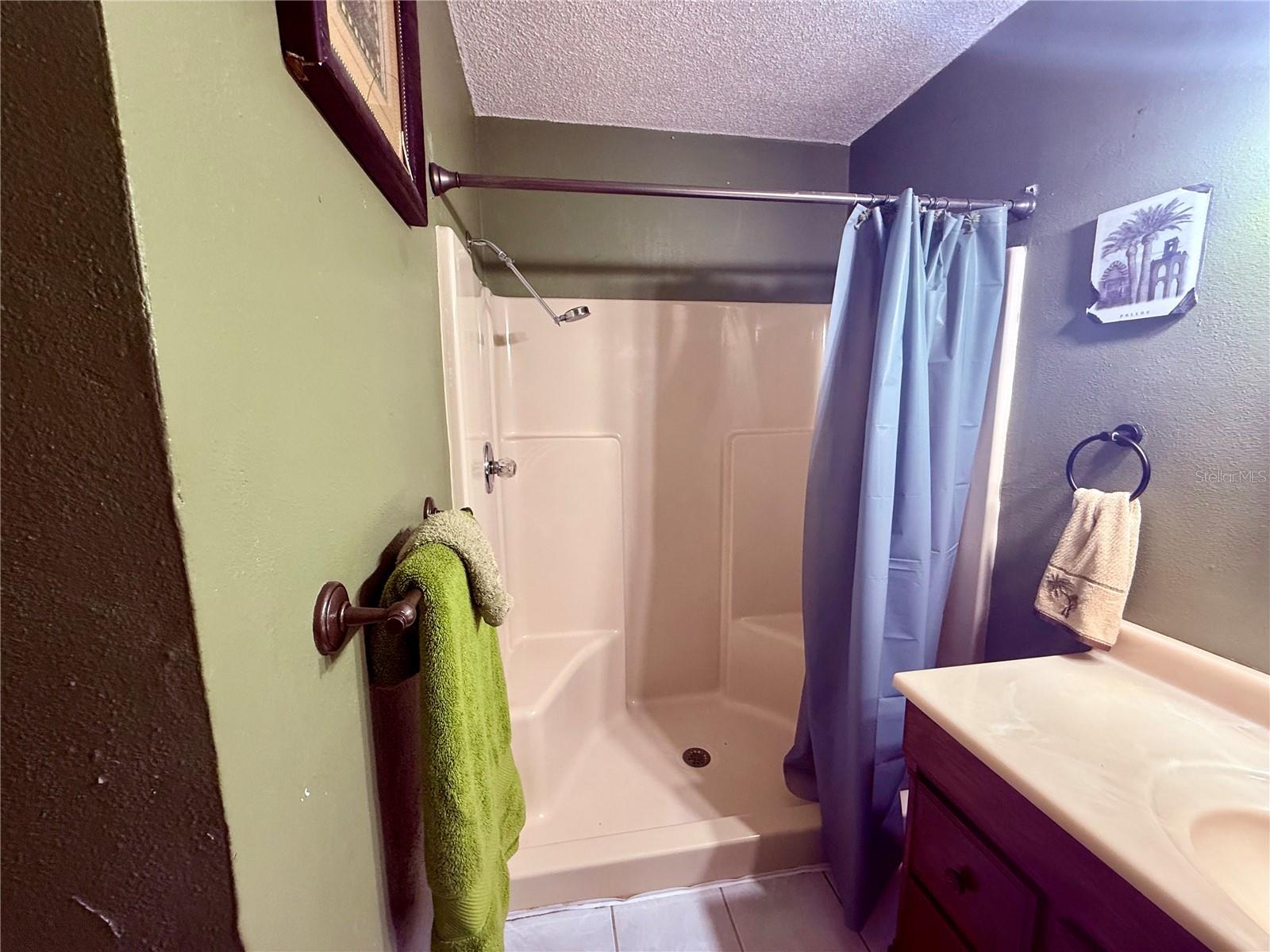 3338 FERNLEAF DR, HERNANDO BEACH, FL, 34607