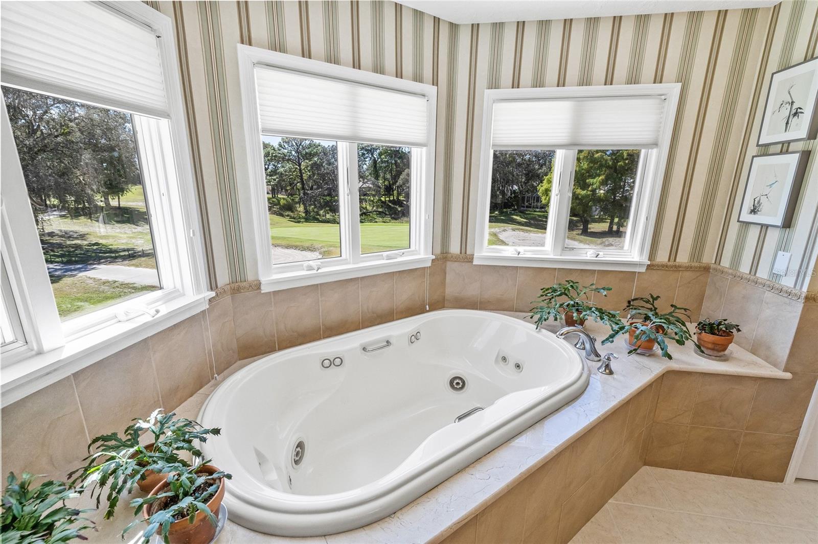 5198 LEGEND HILLS LN, SPRING HILL, FL, 34609