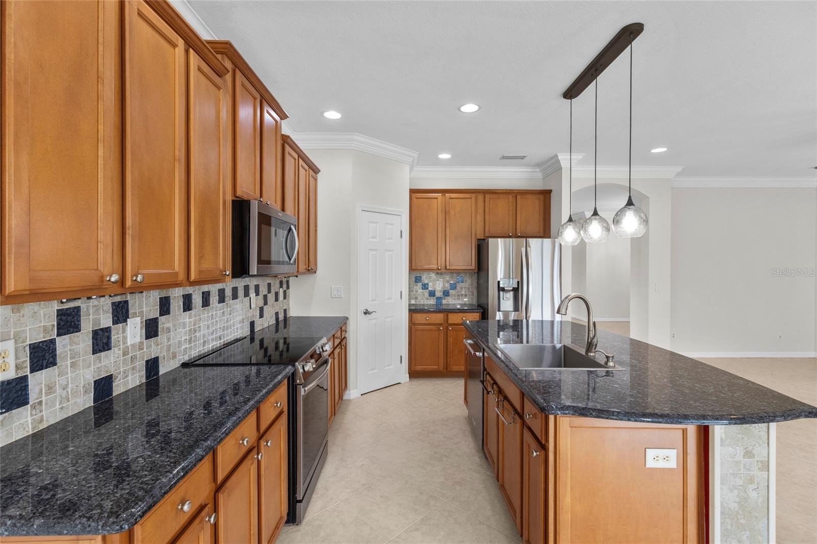 20528 PEZZANA DR, VENICE, FL, 34292