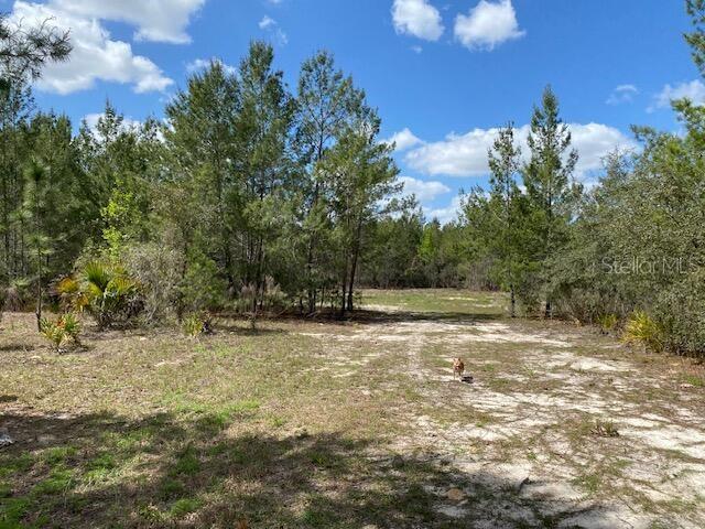 18055 SW 200 ST, ARCHER, FL, 32618