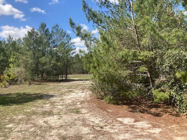 18055 SW 200 ST, ARCHER, FL, 32618