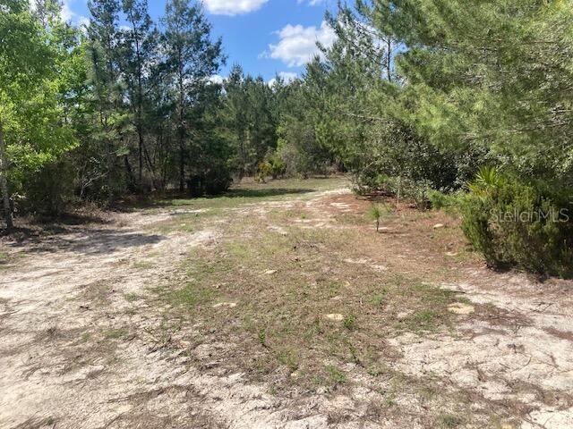 18055 SW 200 ST, ARCHER, FL, 32618