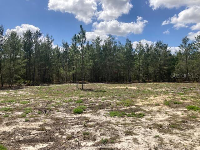 18055 SW 200 ST, ARCHER, FL, 32618