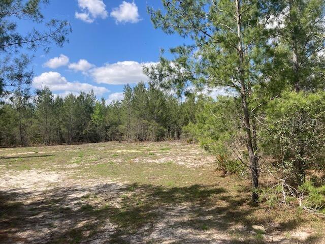 18055 SW 200 ST, ARCHER, FL, 32618