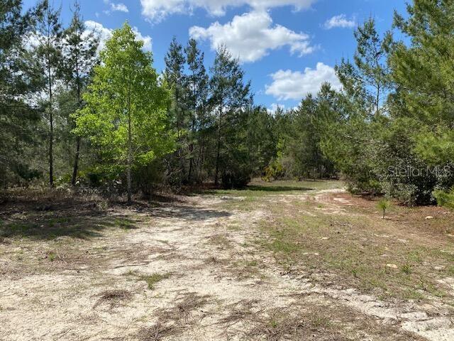 18055 SW 200 ST, ARCHER, FL, 32618