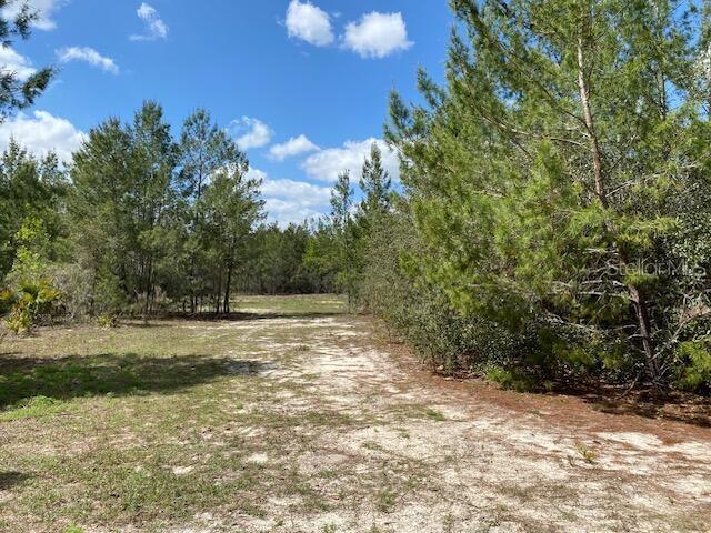 18055 SW 200 ST, ARCHER, FL, 32618