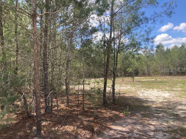 18055 SW 200 ST, ARCHER, FL, 32618