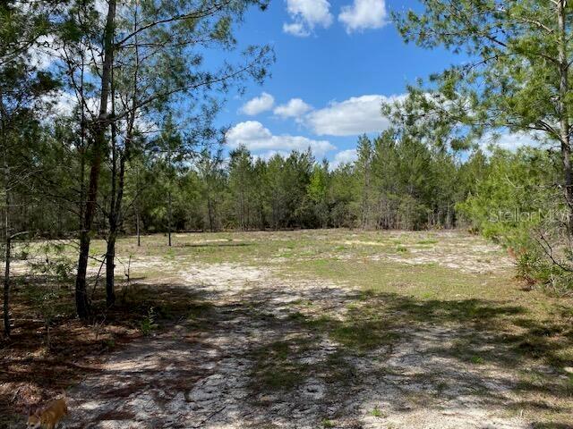 18055 SW 200 ST, ARCHER, FL, 32618