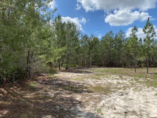 18055 SW 200 ST, ARCHER, FL, 32618