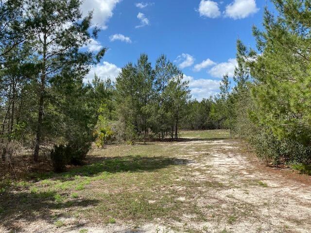 18055 SW 200 ST, ARCHER, FL, 32618