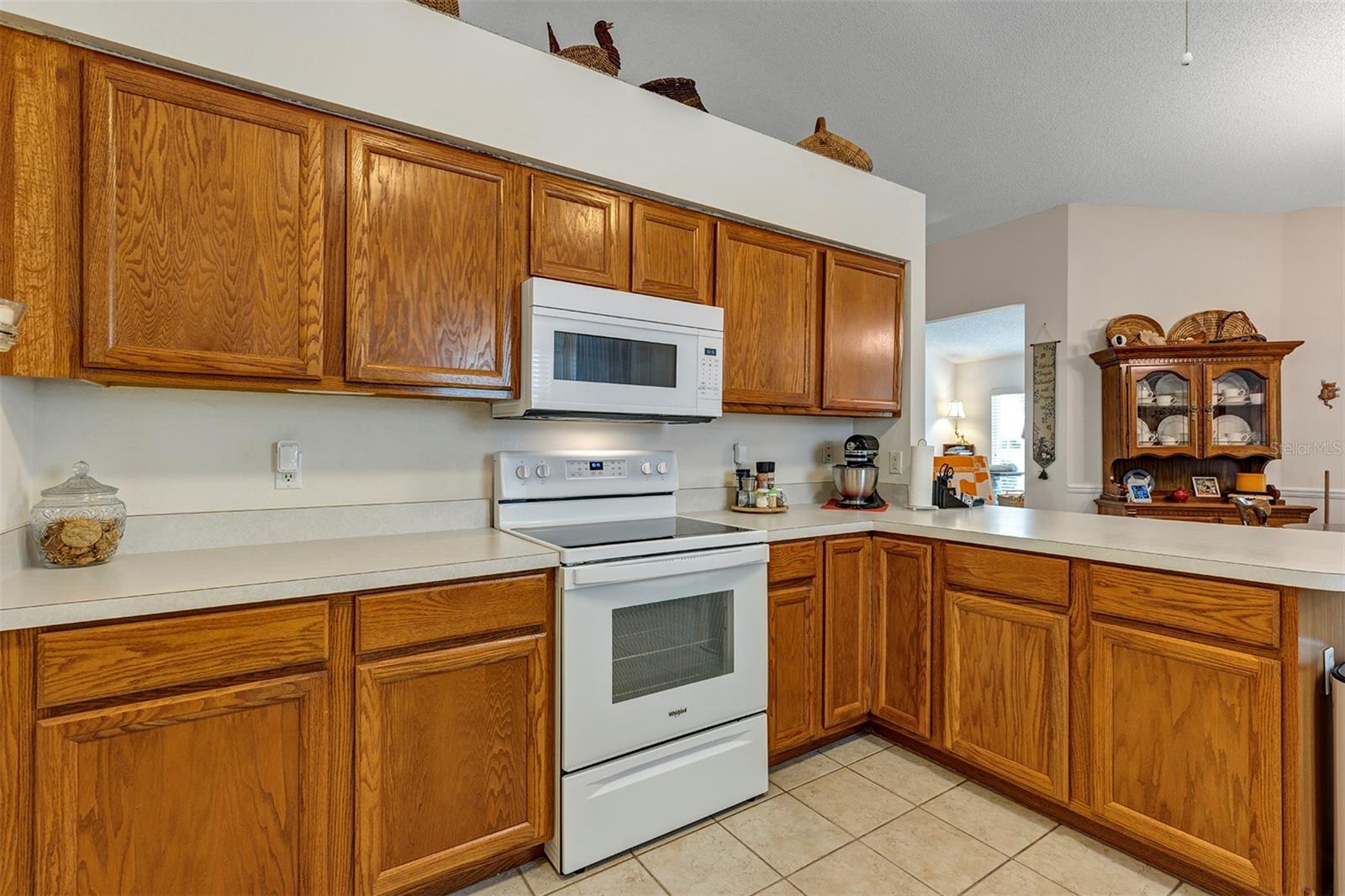 26035 OAKMOUNT DR, LEESBURG, FL, 34748