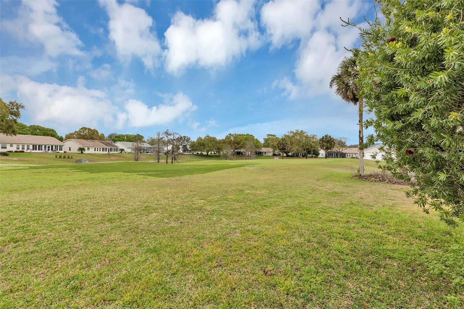 26035 OAKMOUNT DR, LEESBURG, FL, 34748