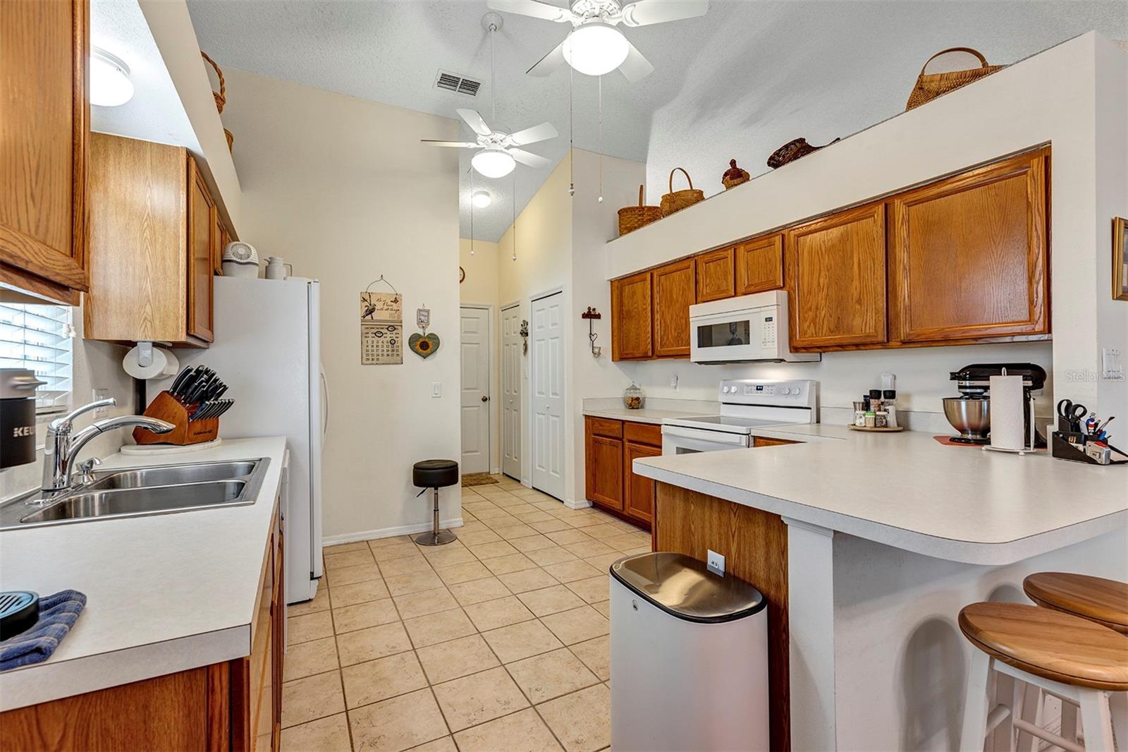 26035 OAKMOUNT DR, LEESBURG, FL, 34748