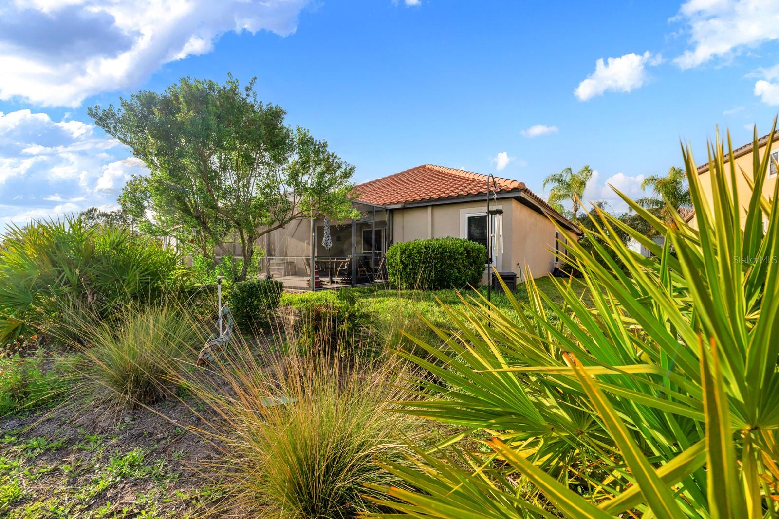 11911 FROST ASTER DR, RIVERVIEW, FL, 33579