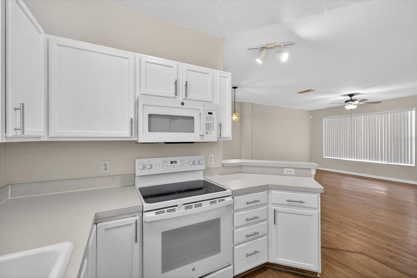 11047 BLACK SWAN CT, SEFFNER, FL, 33584