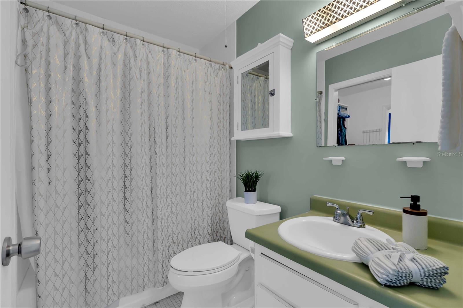 6927 PLACE DE LA PAIX #6927, ST PETERSBURG, FL, 33707