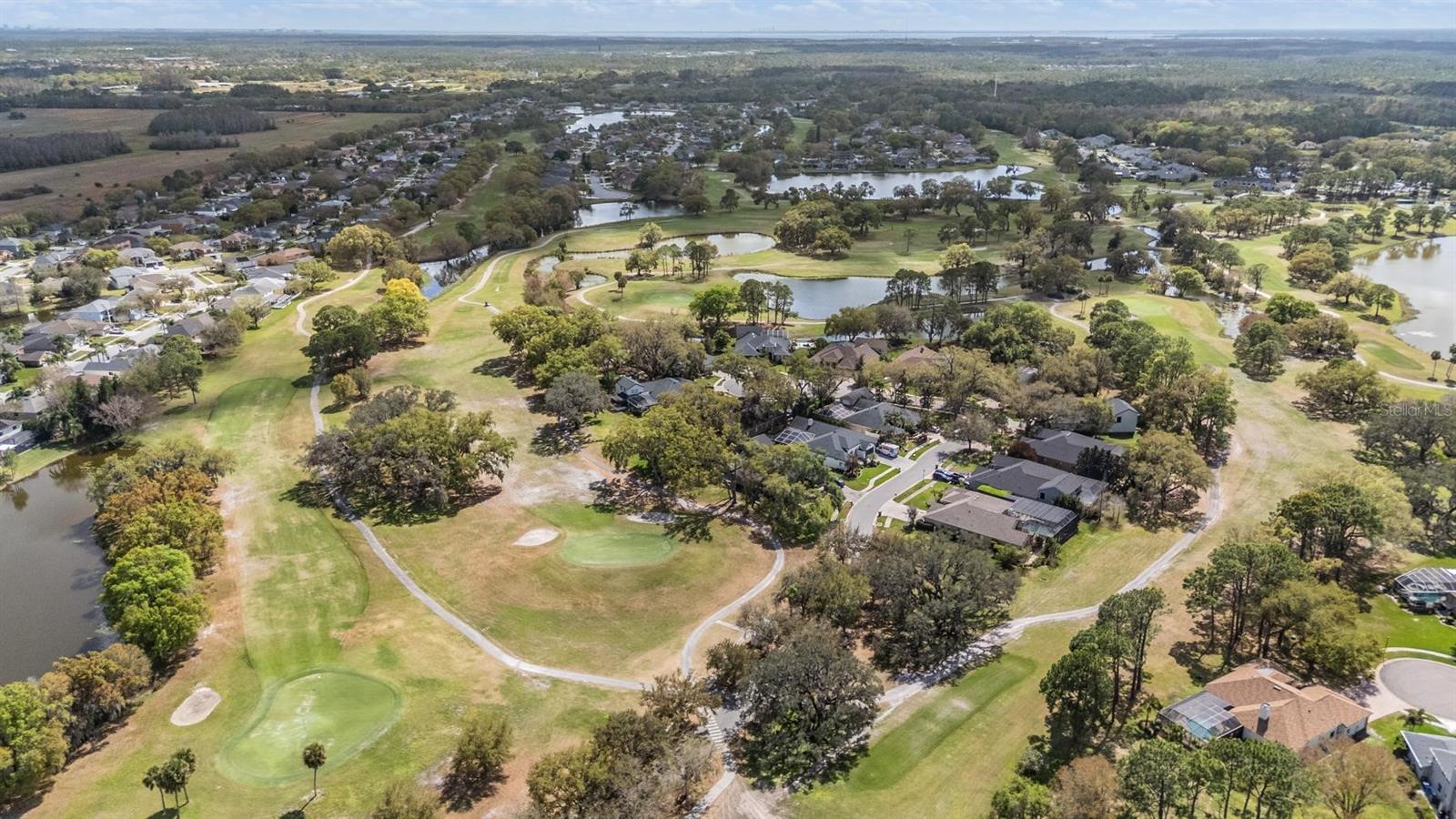 12408 EAGLES ENTRY DR, ODESSA, FL, 33556