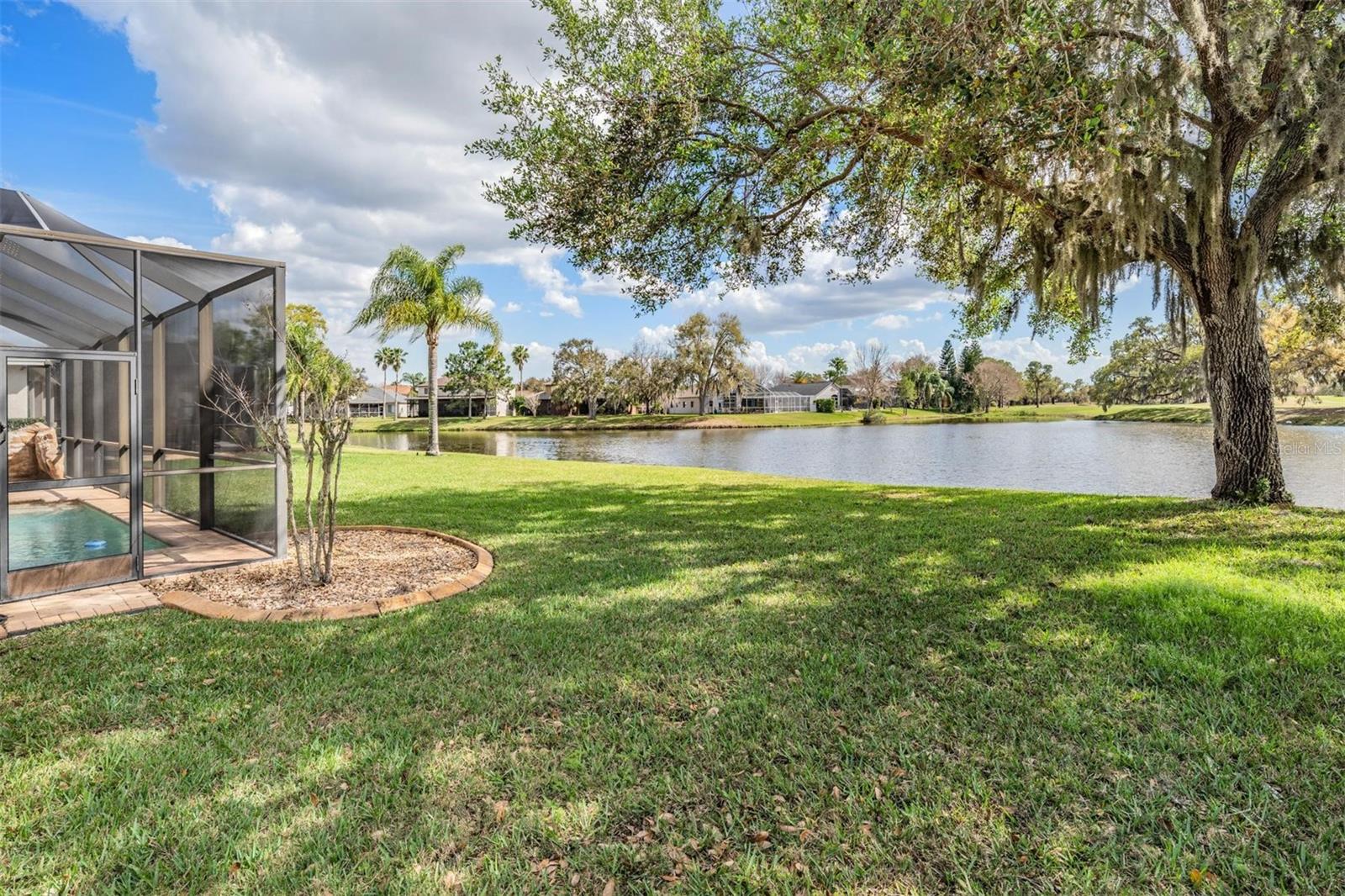 12408 EAGLES ENTRY DR, ODESSA, FL, 33556