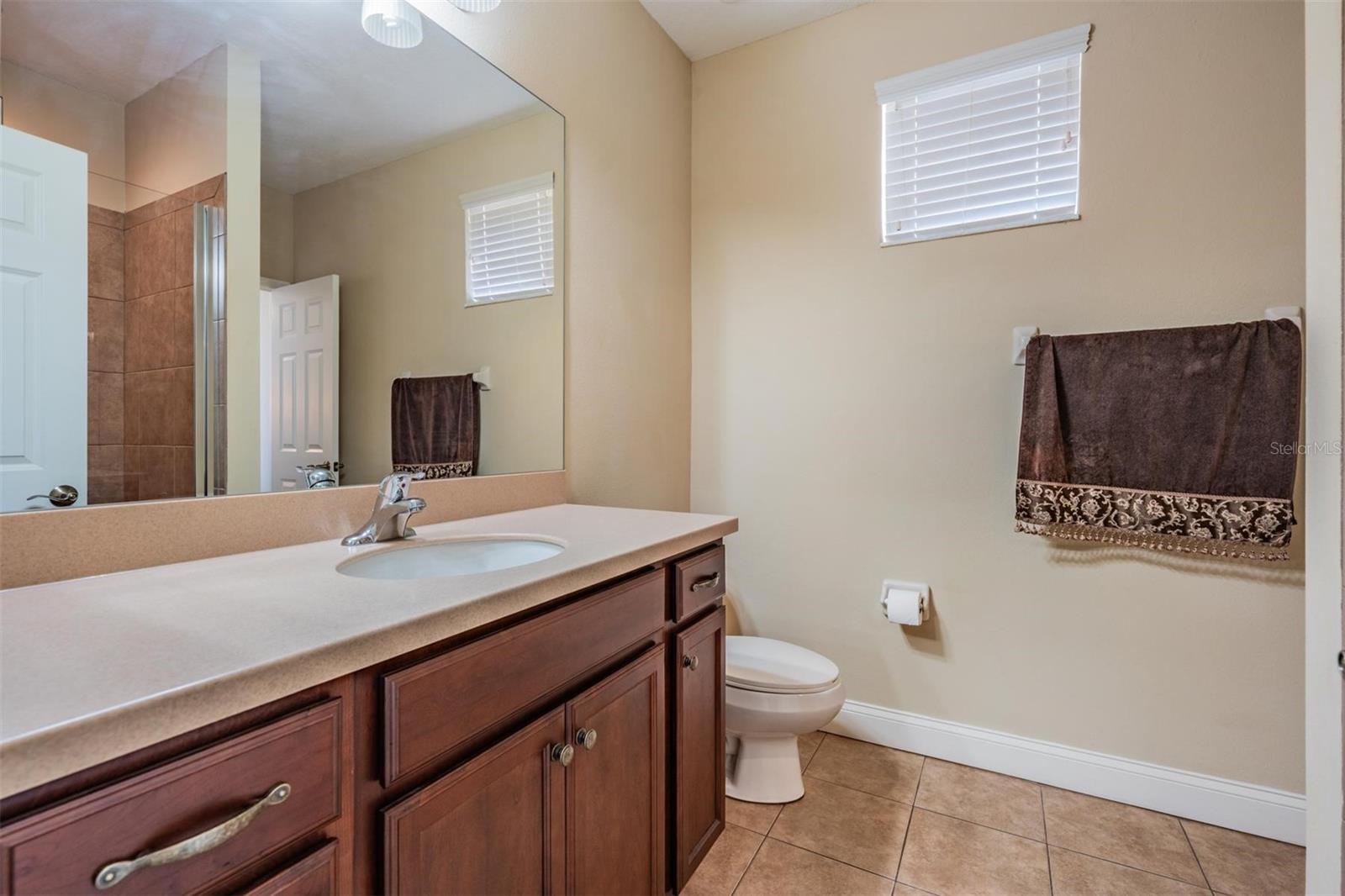 12408 EAGLES ENTRY DR, ODESSA, FL, 33556