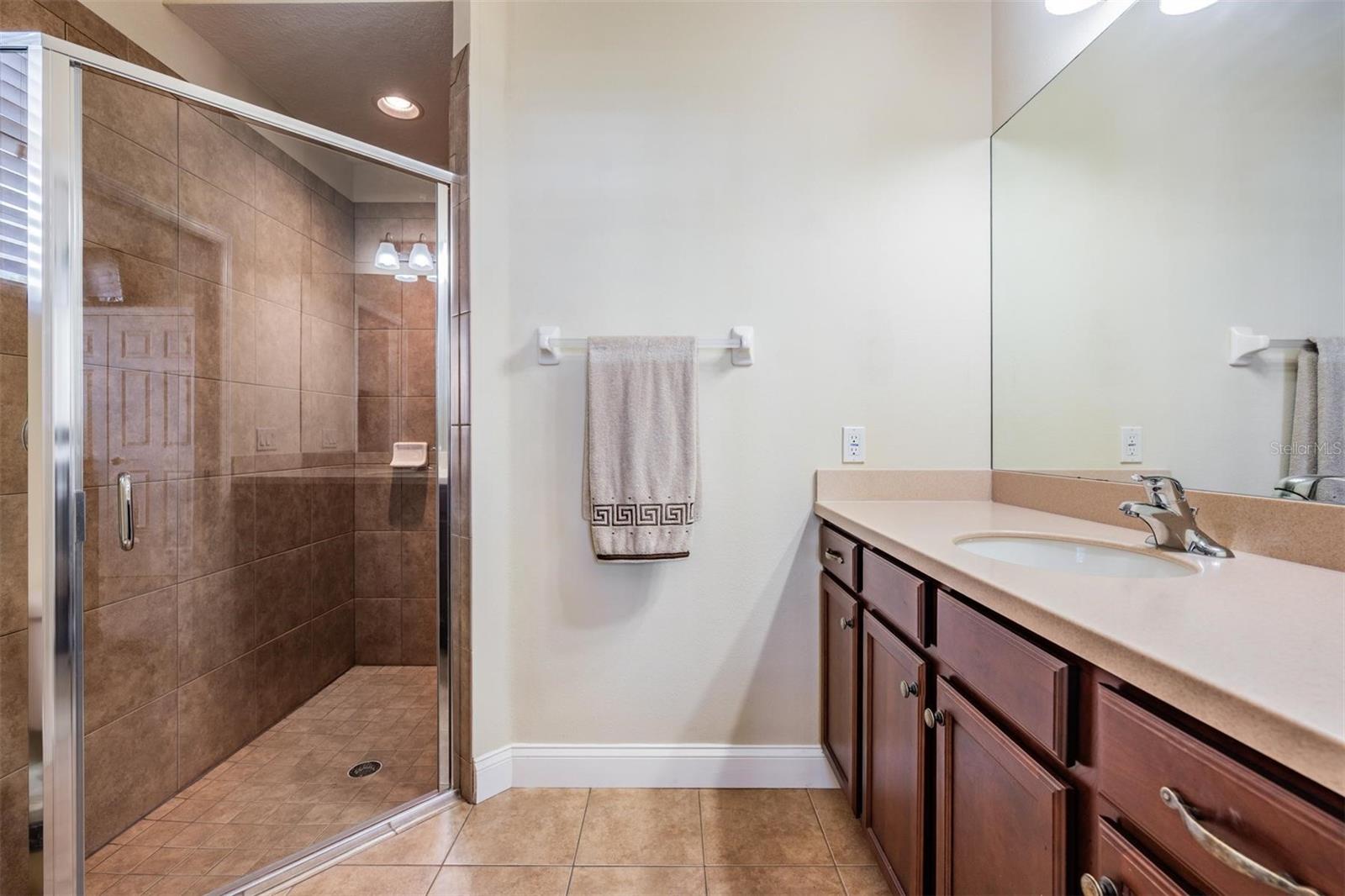 12408 EAGLES ENTRY DR, ODESSA, FL, 33556