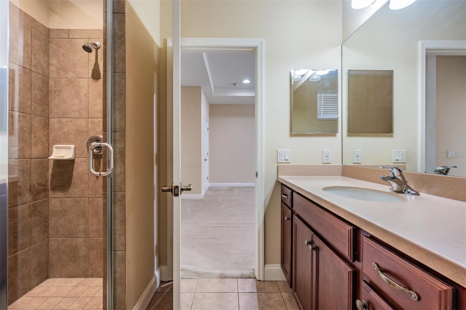 12408 EAGLES ENTRY DR, ODESSA, FL, 33556