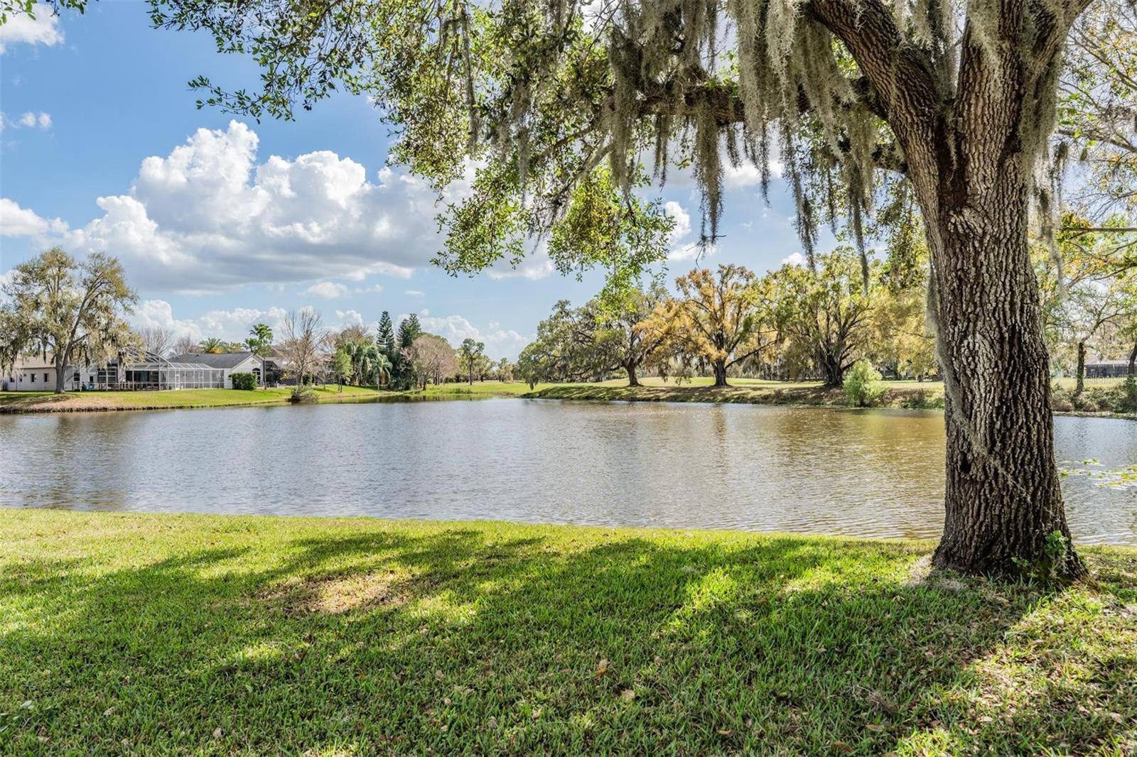 12408 EAGLES ENTRY DR, ODESSA, FL, 33556