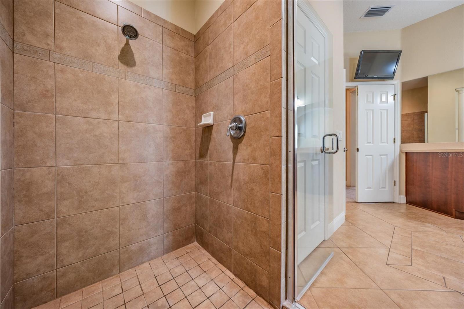 12408 EAGLES ENTRY DR, ODESSA, FL, 33556