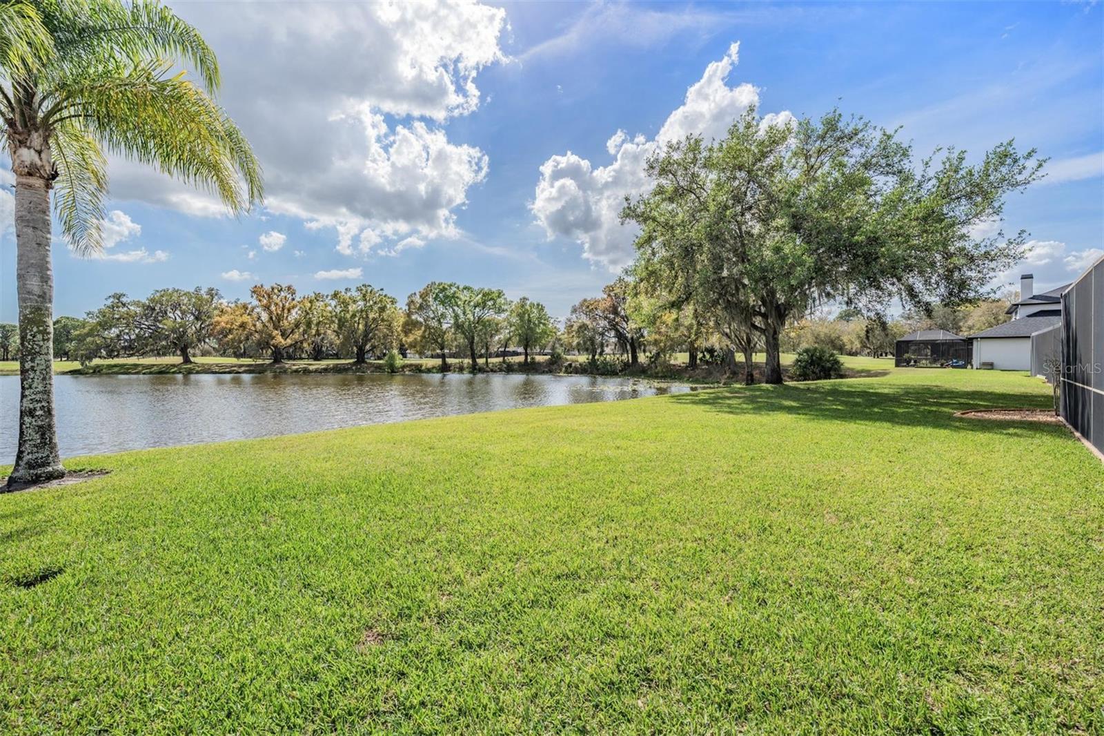 12408 EAGLES ENTRY DR, ODESSA, FL, 33556