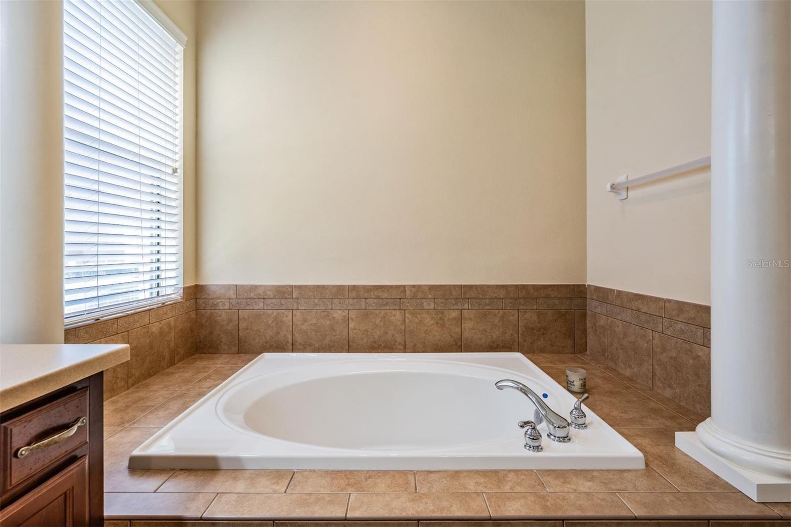 12408 EAGLES ENTRY DR, ODESSA, FL, 33556