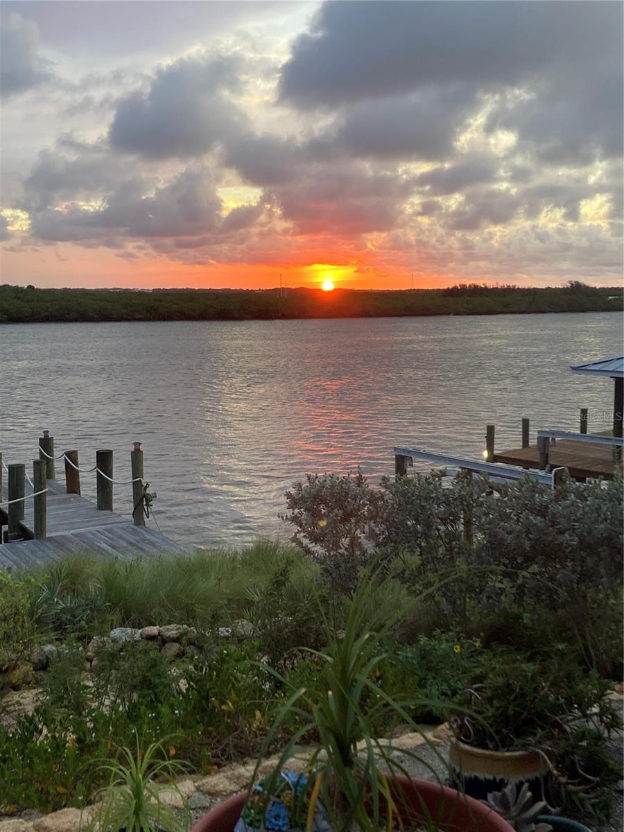 1709 UMBRELLA TREE DR, EDGEWATER, FL, 32132