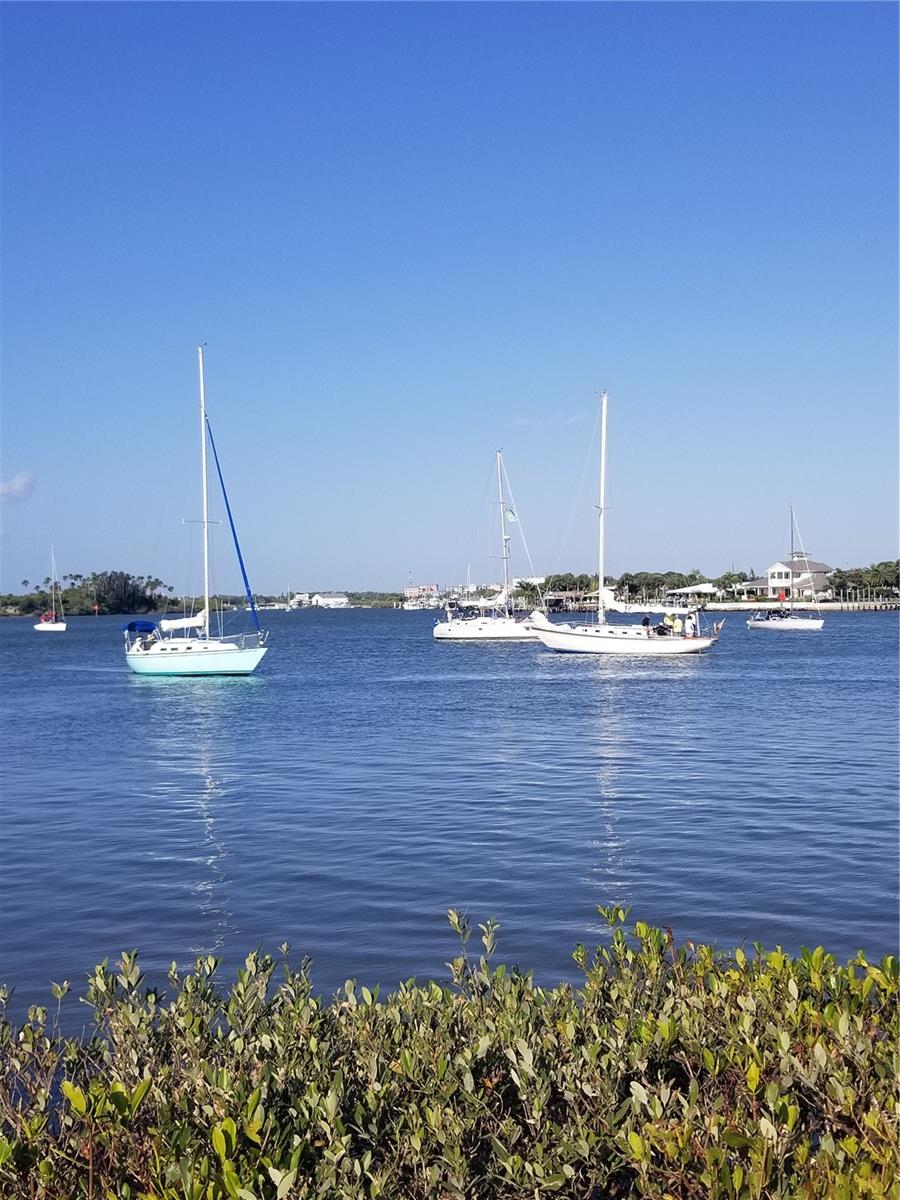 1709 UMBRELLA TREE DR, EDGEWATER, FL, 32132