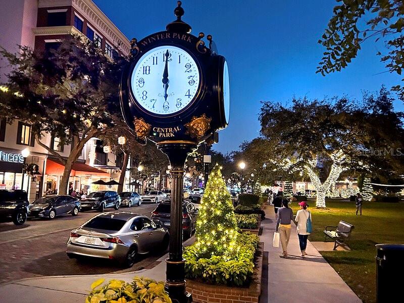 240 N PHELPS AVE, WINTER PARK, FL, 32789