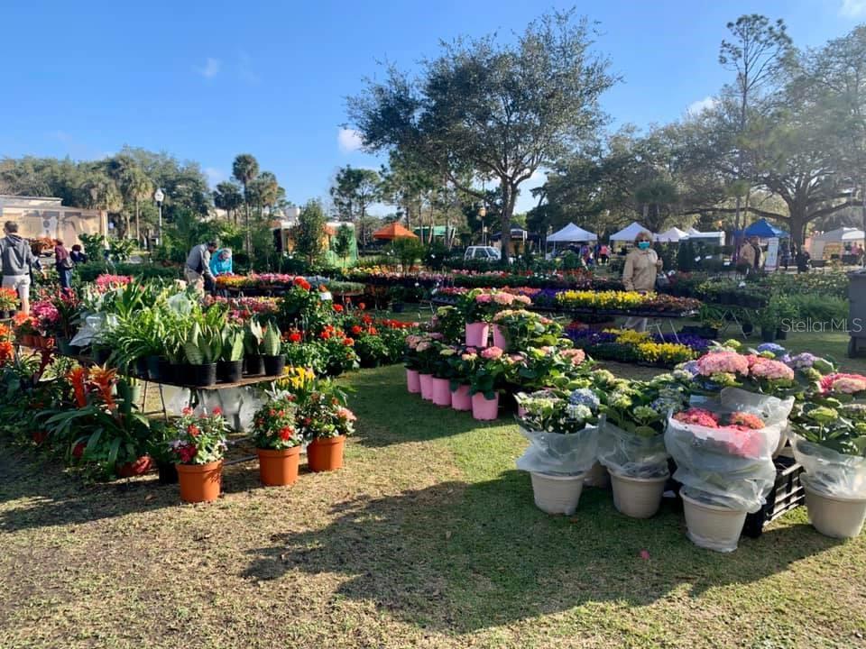 240 N PHELPS AVE, WINTER PARK, FL, 32789