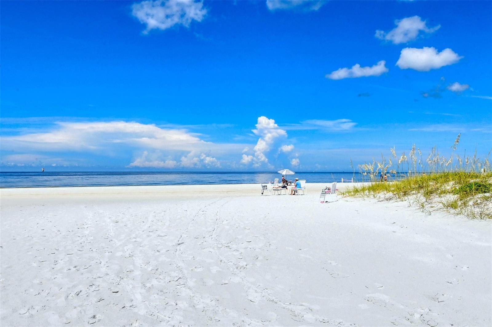 6287 MIDNIGHT PASS RD #103, SARASOTA, FL, 34242