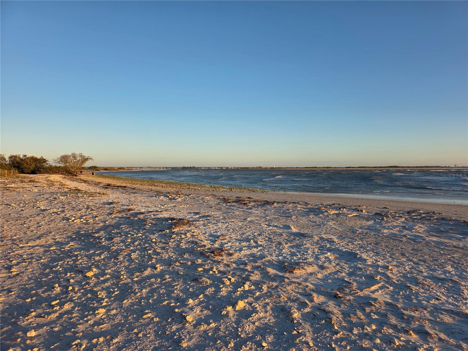 2566 GARY CIR #5, DUNEDIN, FL, 34698