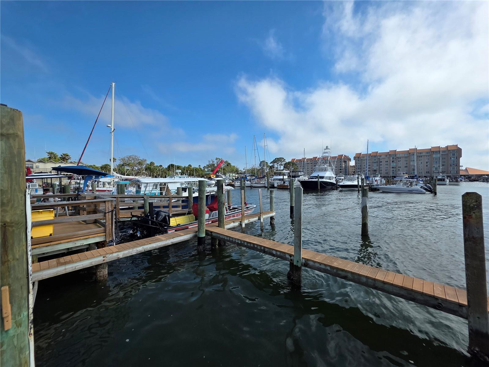 2566 GARY CIR #5, DUNEDIN, FL, 34698