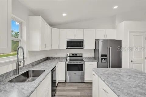 40091 OAKRIDGE DR, LADY LAKE, FL, 32159