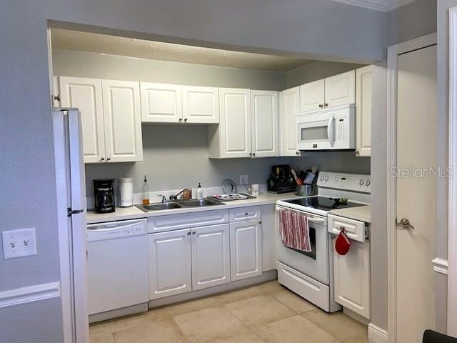 13824 ORANGE SUNSET DR #203, TAMPA, FL, 33618
