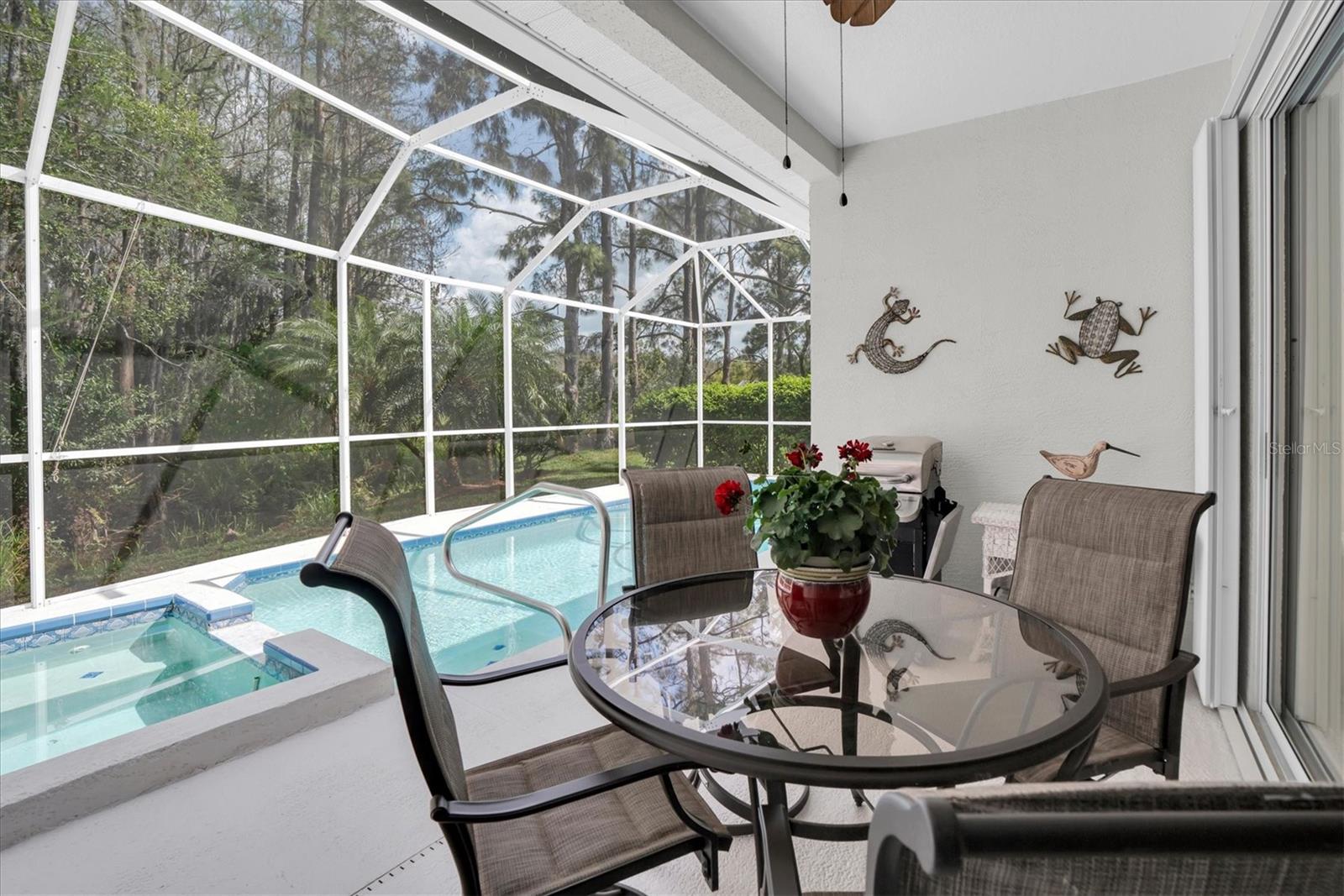 1122 MARAVISTA DR, TRINITY, FL, 34655