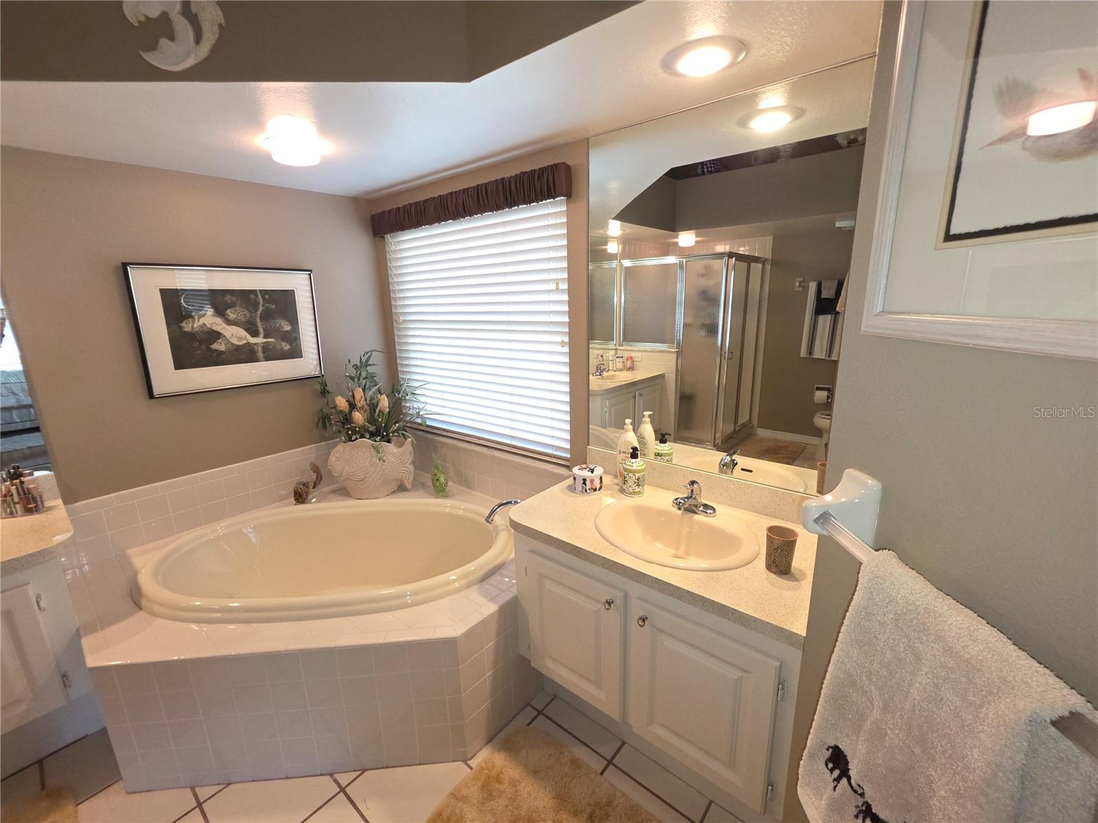 2482 SILKWOOD CT, SPRING HILL, FL, 34606