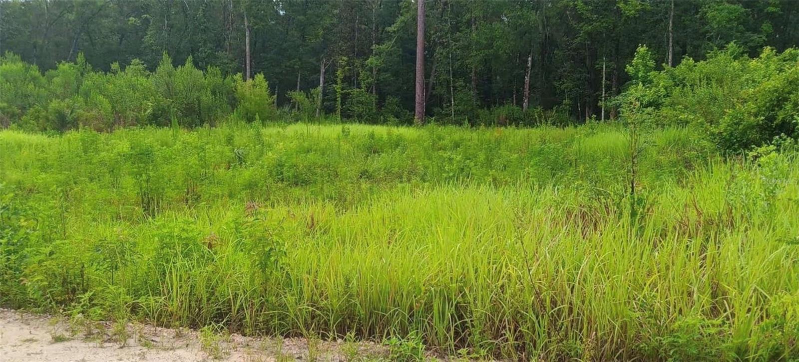 SW 18 ST, OCALA, FL, 34481