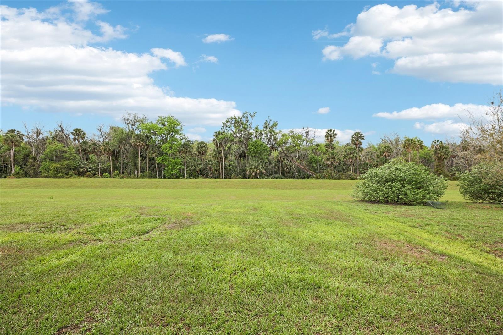 3360 CURLEW AVE, LEESBURG, FL, 34748