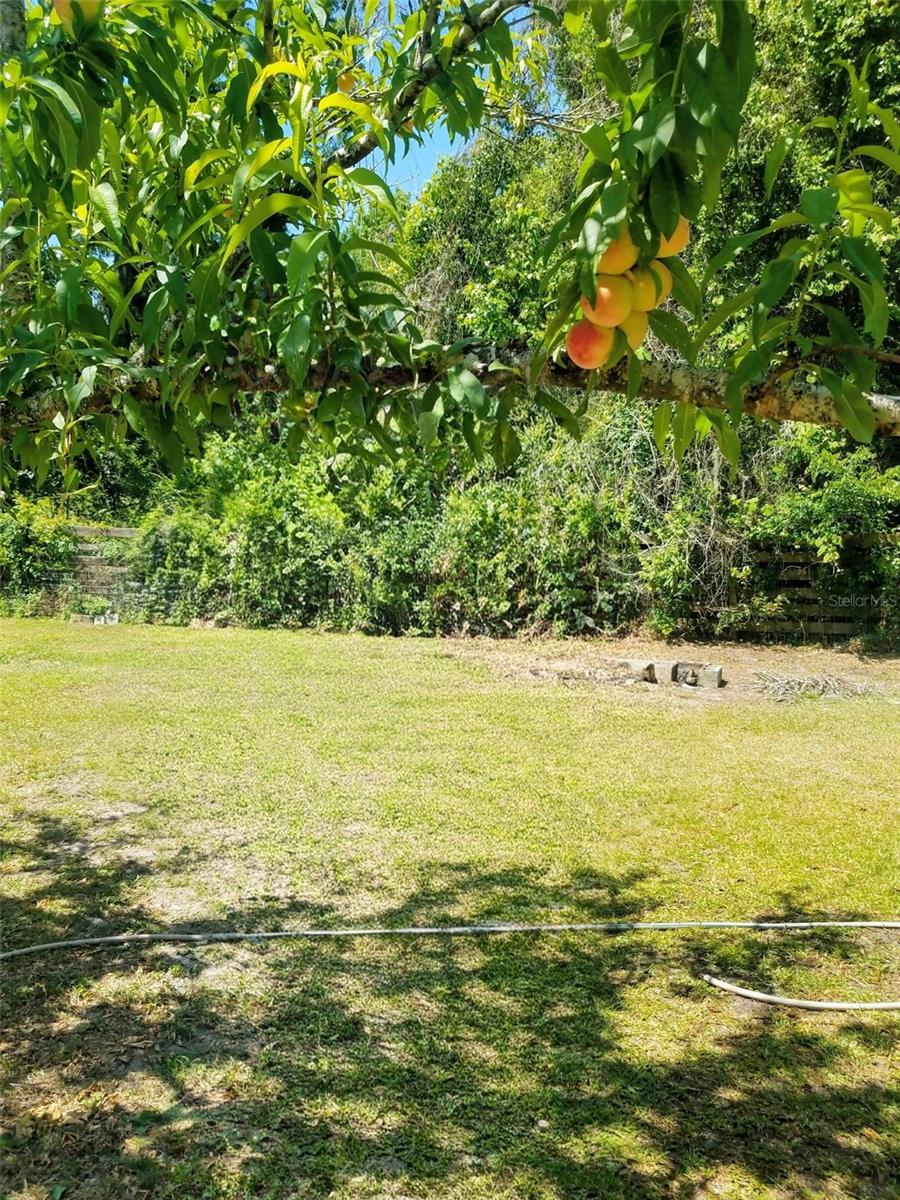 12182 SW STATE ROAD 45, ARCHER, FL, 32618